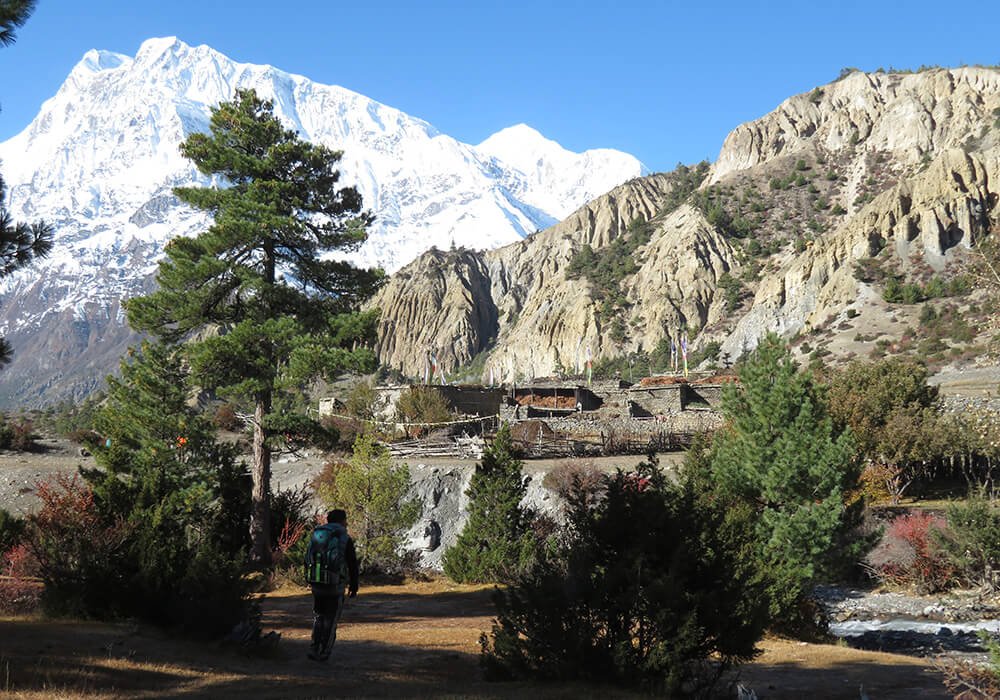 Beyond - Beyond Finance