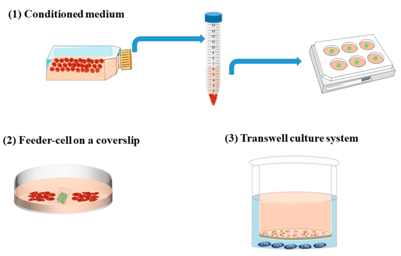 AOPolaQJpMSJHLX_MKFkhlGt5P6i7nIDq8pkKBSfIA=s900-c-k-c0x00ffffff-no-rj
